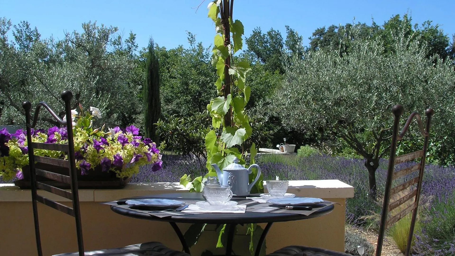 Clos Des Lavandes - Chambres Et Suites De Charme Climatisees-Luberon Lacoste  Francja