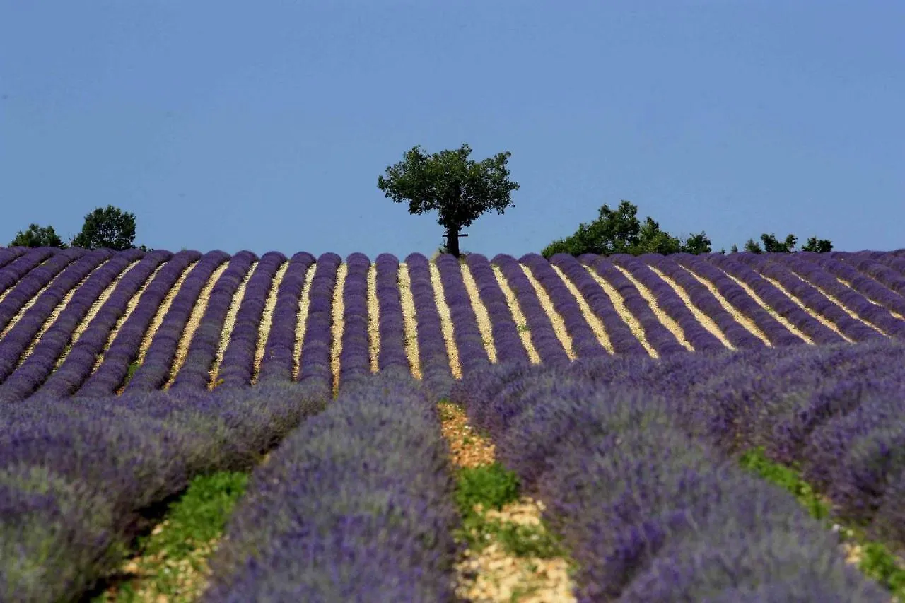 Nocleg ze śniadaniem Clos Des Lavandes - Chambres Et Suites De Charme Climatisees-Luberon Lacoste
